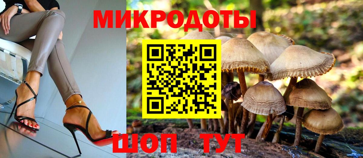 Галлюциногенные грибы Cubensis  Вход с VPN  Кизилюрт 